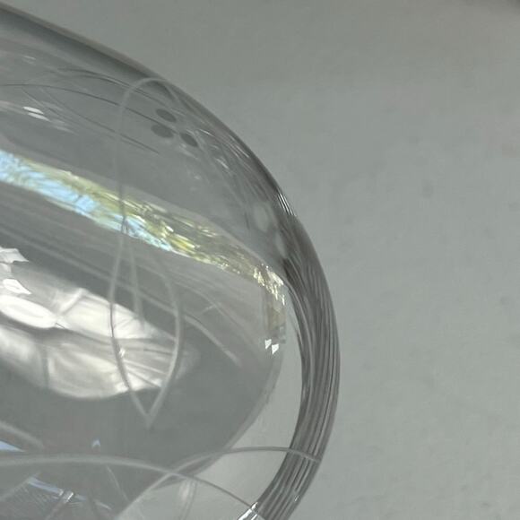 Riedel Etched Floral Stemless Wine Glasses Set of 2 - Picture 5 of 10